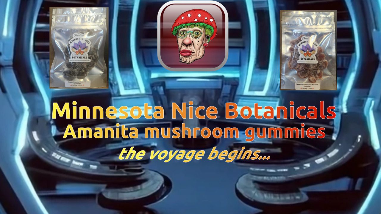 Minnesota Nice Botanicals Amanita Shroom Gummies | Insightful Effects