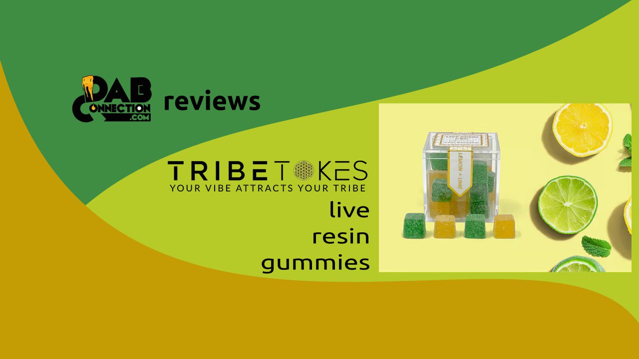 TribeTokes Delta 8 Live Resin Gummies – A Perfect Harmony