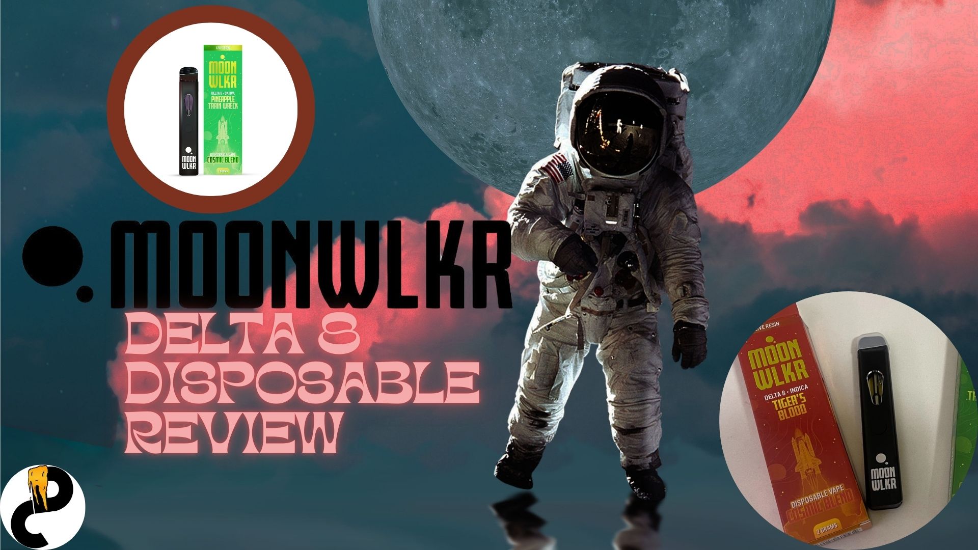 MoonWlkr D8 Disposable Review – User-Friendly and Tasty