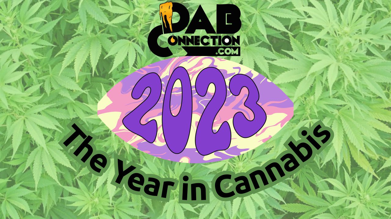 The Year in Cannabis 2023