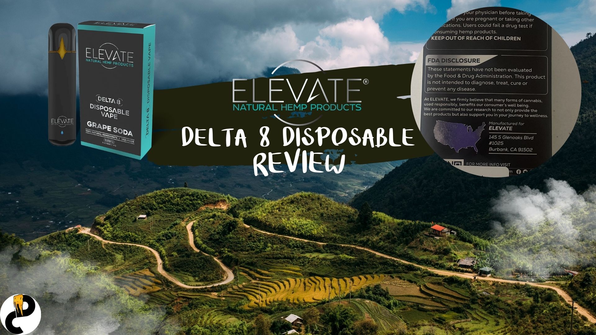 ELEVATE Delta 8 Disposable Review – Relatively Average